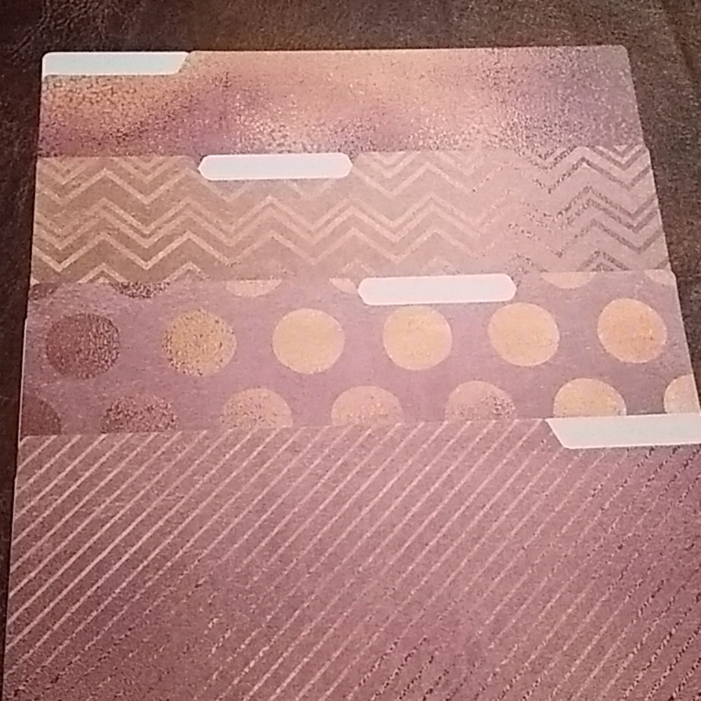 Four fun, fashionable file folders!